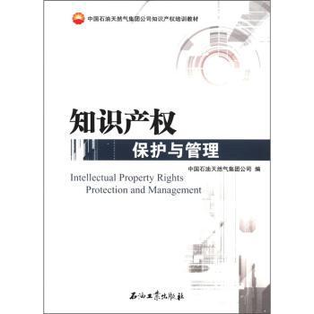 知识产权保护与管理 PDF下载 免费 电子书下载