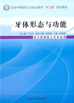 牙体形态与功能 PDF下载 免费 电子书下载