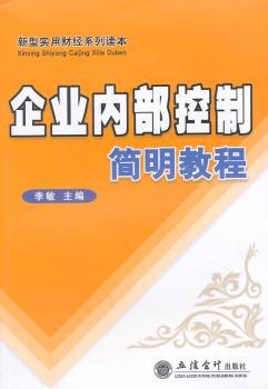 企业内部控制简明教程 PDF下载 免费 电子书下载