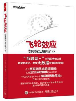 中国独立审计市场政府监管效果研究 PDF下载 免费 电子书下载