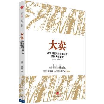 大卖:从置业顾问到营销总监进阶实战手册 PDF下载 免费 电子书下载