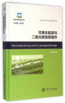 可再生能源与二氧化碳地质储存 PDF下载 免费 电子书下载