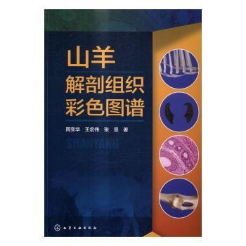 旱作区主要农作物模式化生产技术研究与应用 PDF下载 免费 电子书下载