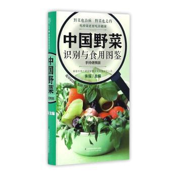 蜜蜂病虫害诊断与防治技术手册 PDF下载 免费 电子书下载