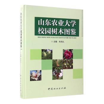 母猪年出栏22头技术要点 PDF下载 免费 电子书下载