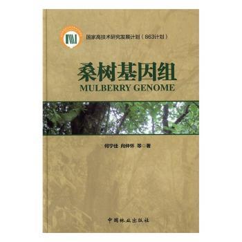 黄瓜、苦瓜、冬瓜稻菜轮作技术100问 PDF下载 免费 电子书下载