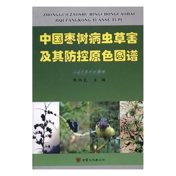 药剂拌种对飞播造林的影响研究 PDF下载 免费 电子书下载