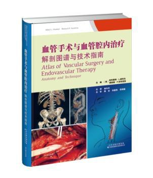 血管手术与血管腔内治疗:解剖图谱与技术指南:anatomy and technique PDF下载 免费 电子书下载