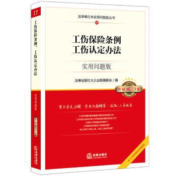 疗救与发展:灾害社会工作案例研究 PDF下载 免费 电子书下载