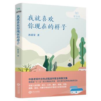 我就喜欢你现在的样子 PDF下载 免费 电子书下载