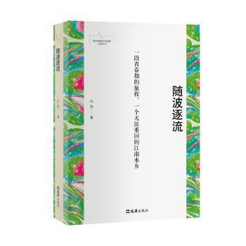 讽刺小说史视野下的《斩鬼传》研究 PDF下载 免费 电子书下载