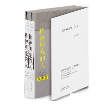 精神明亮的人：王开岭文集.完整版 PDF下载 免费 电子书下载