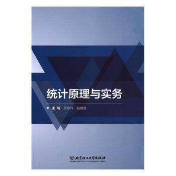 统计原理与实务 PDF下载 免费 电子书下载