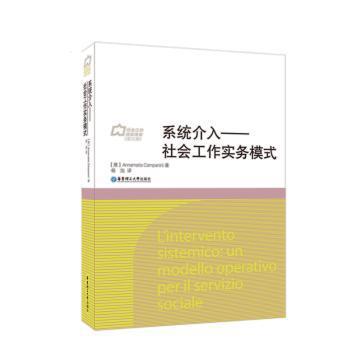 系统介入——社会工作实务模式 PDF下载 免费 电子书下载