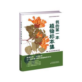 中国动物志:第五十三卷:Vol.53:Araneae:无脊椎动物:蛛形刚:蛛形目:跳蛛科:Invertebrata:Arachnida:Salticidae PDF下载 免费 电子书下载