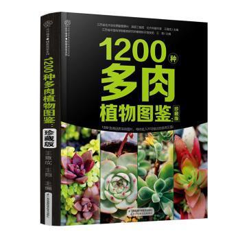 1200种多肉植物图鉴:珍藏版 PDF下载 免费 电子书下载